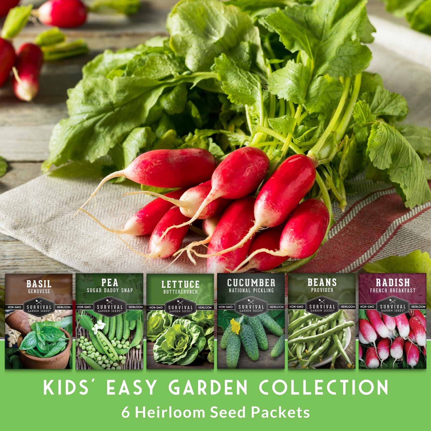 Kid’s Easy Garden Seed Collection – 6 Fast-Growing Vegetables & Herbs for Beginner Gardeners