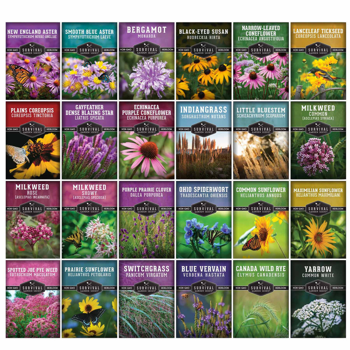 Native Earth Native Habitat Seed Collection – 24 Native Wildflowers & Grasses for P ...