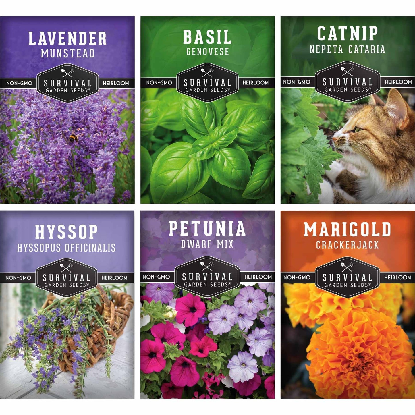 Pest Defense Seed Collection – 6 Heirloom Herbs & Flowers for Natural Garden Protection