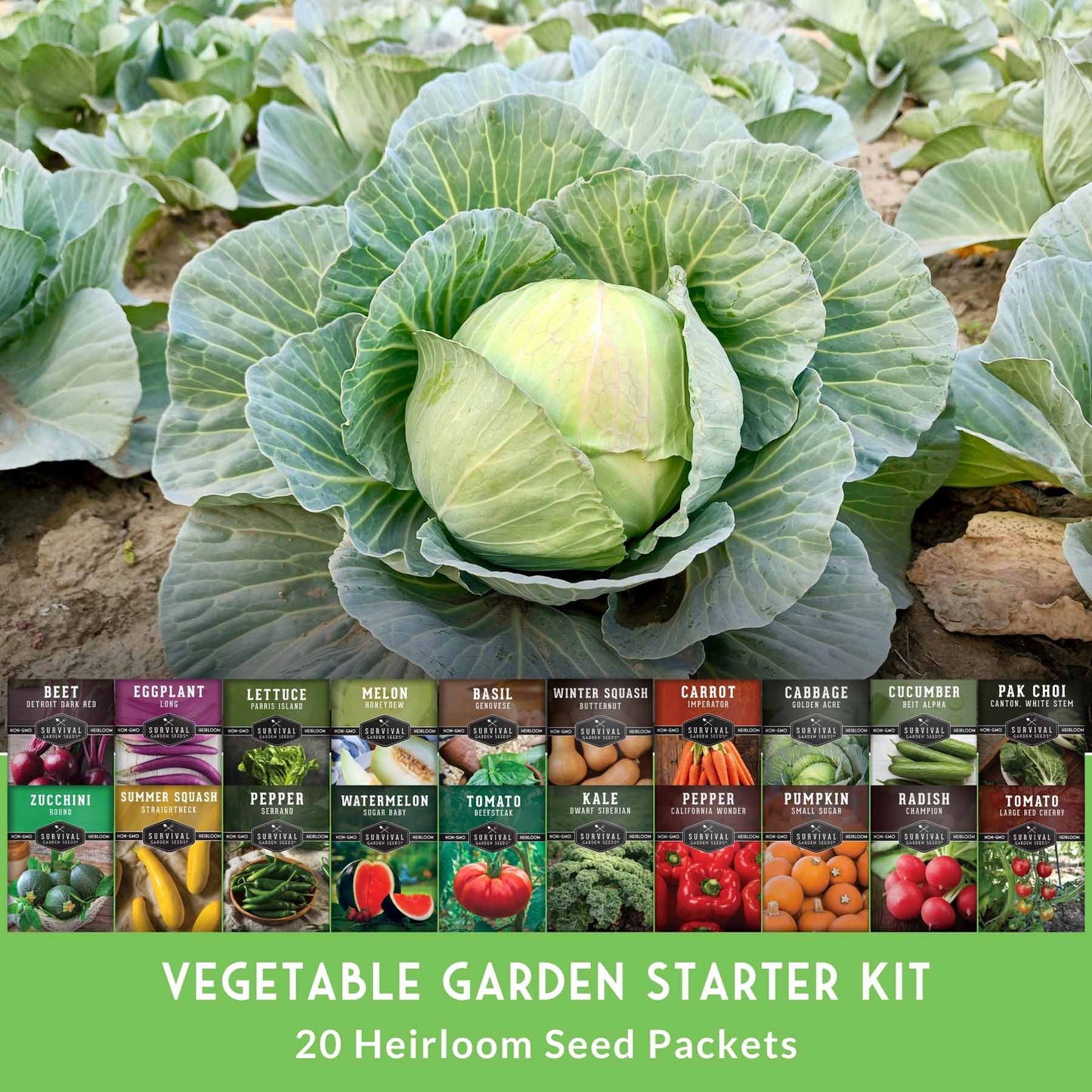 20 Variety Vegetable Garden Starter Seed Collection – Non-GMO Heirloom Kit for Beginner-Friendly Home Growing