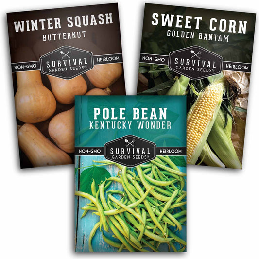 Three Sisters Seed Collection – Heirloom Corn, Pole Beans & Butternut Squash for Companion Planting