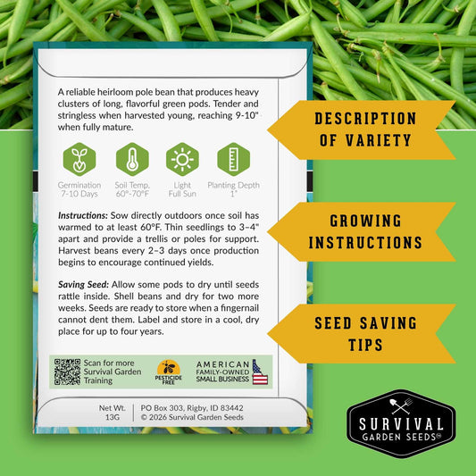 Three Sisters Seed Collection – Heirloom Corn, Pole Beans & Butternut Squash for Companion Planting