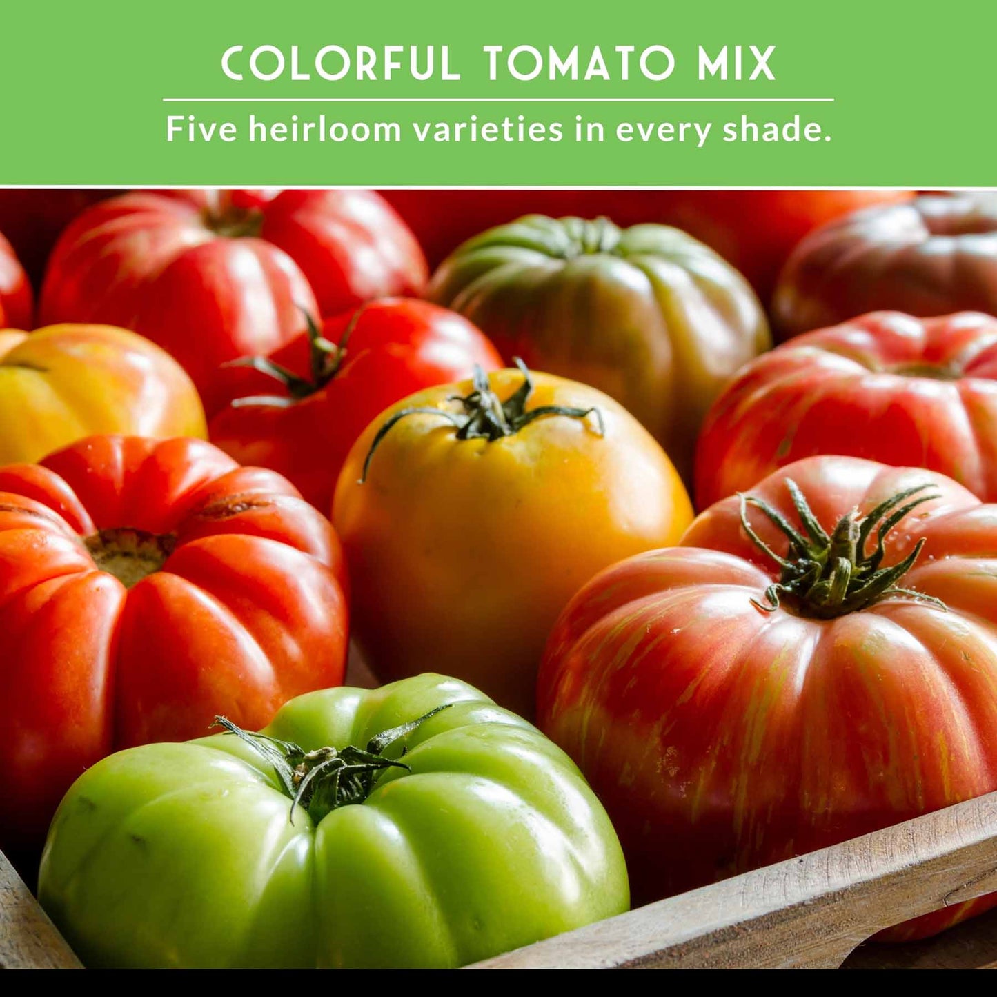 Colorful Tomato Seed Collection – Heirloom Rainbow Mix for Unique Flavors, Slicing & Summer Harvests
