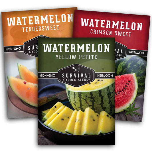 Tri-Color Watermelon Seeds – Crimson Sweet, Yellow Petite & Tendersweet Orange Heirloom Varieties for Vibrant Summer Harvests