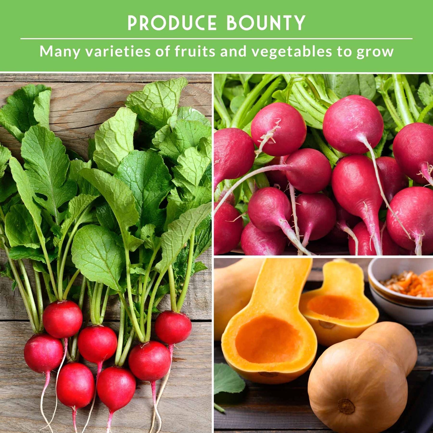 15 Variety Vegetable Garden Seed Collection – Non-GMO Heirloom Survival Seed Vault for Year-Round Growing