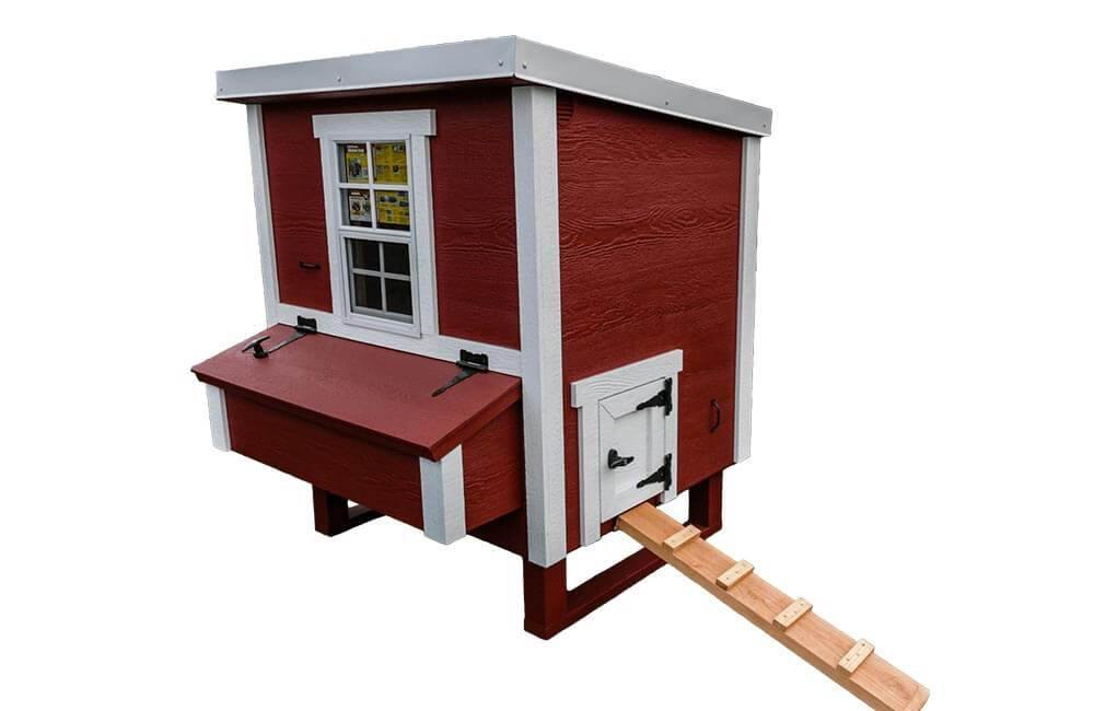 Medium Chicken Coop - Up to 10 Chickens