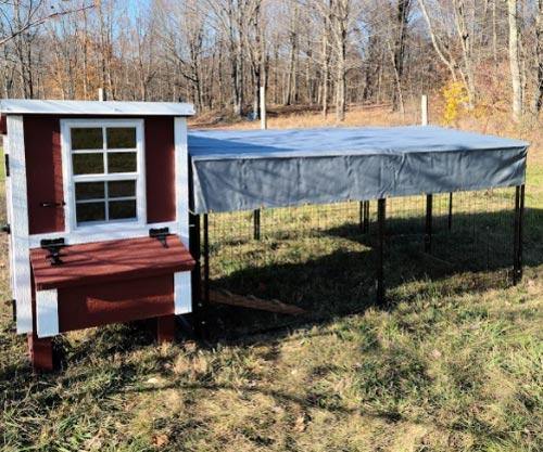 Small Chicken Coop — Up to 5 Chickens