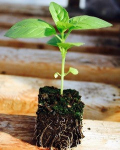 SOIL BLOCKER SET
