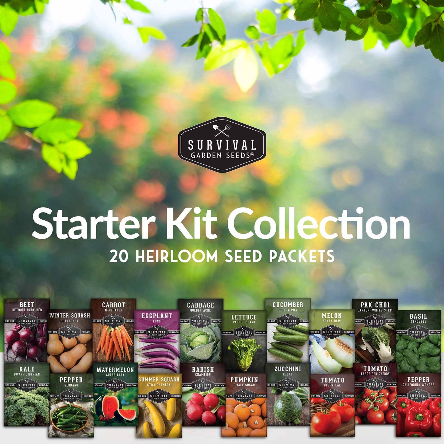 20 Variety Vegetable Garden Starter Seed Collection – Non-GMO Heirloom Kit for Beginner-Friendly Home Growing