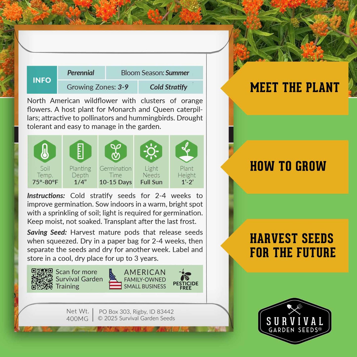 Milkweed Seed Collection – Common, Butterfly, and Rose Milkweed for Monarch Support