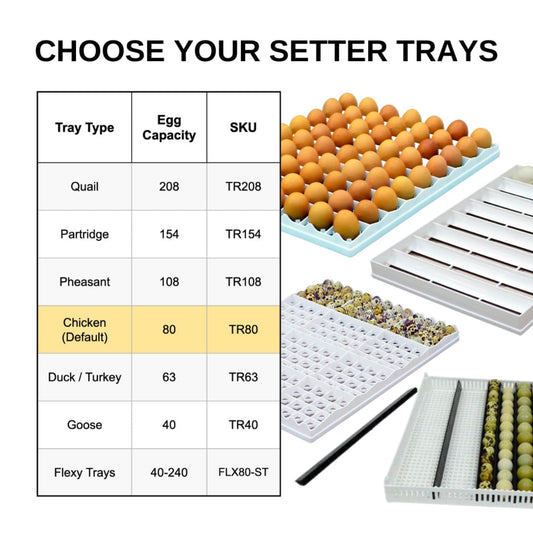 T2400 S - Egg Incubator - Setter