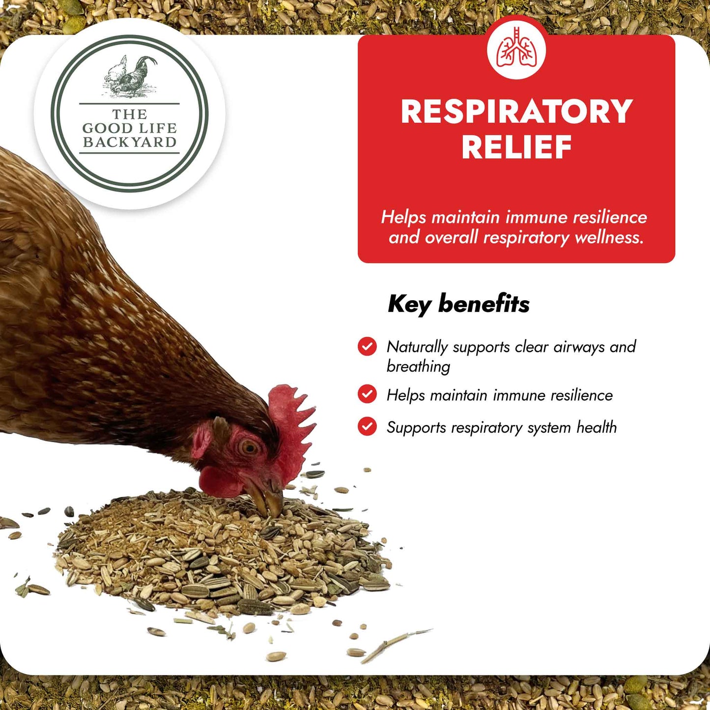 Respiratory Relief - Spice Blend