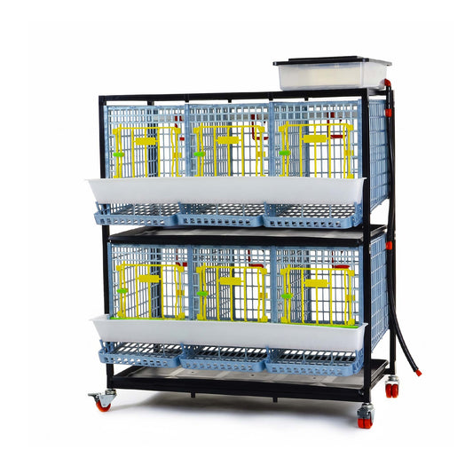 Chicken Cage - 2 Layer H: 15"