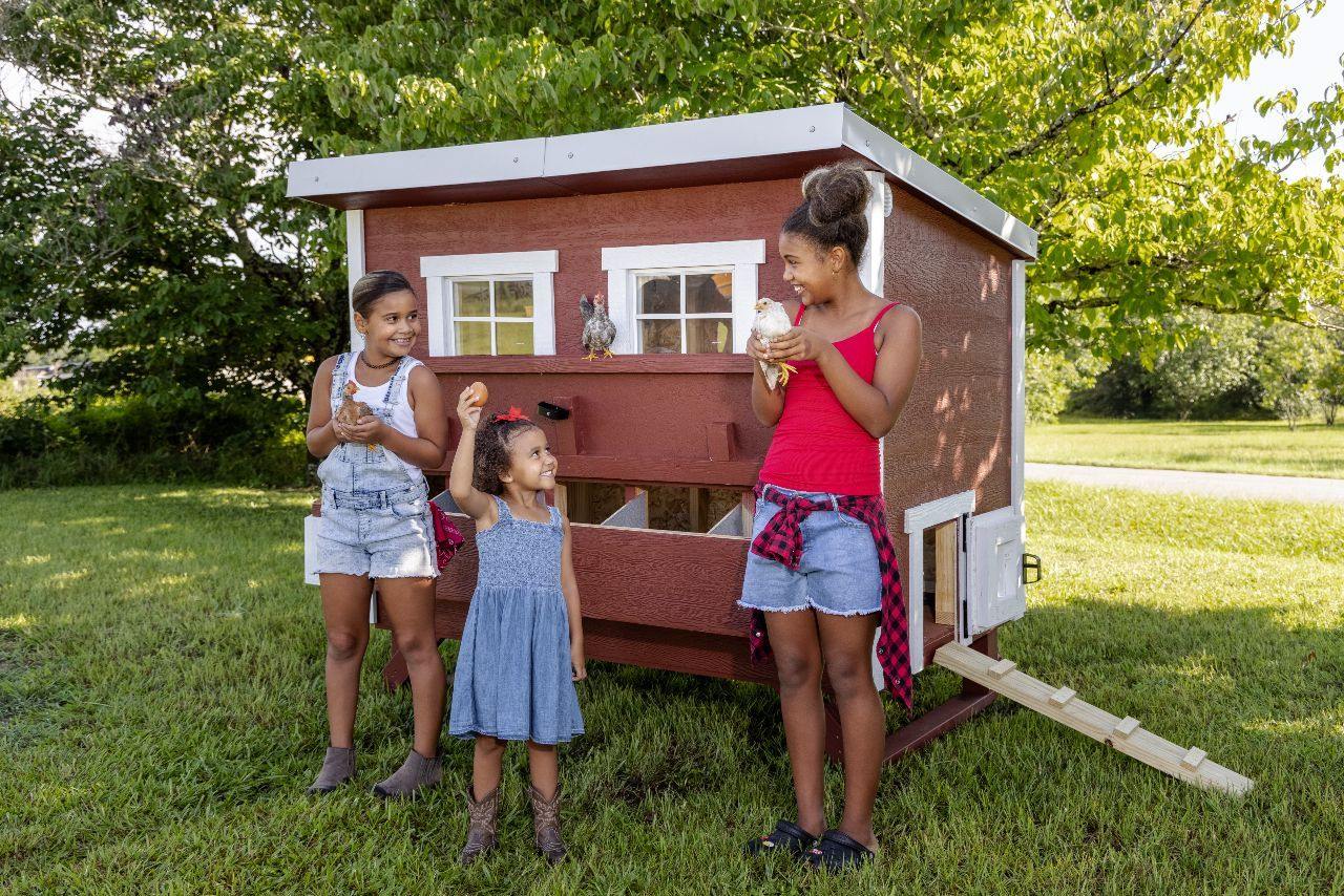 Large Chicken Coop — Up to 15 Chickens