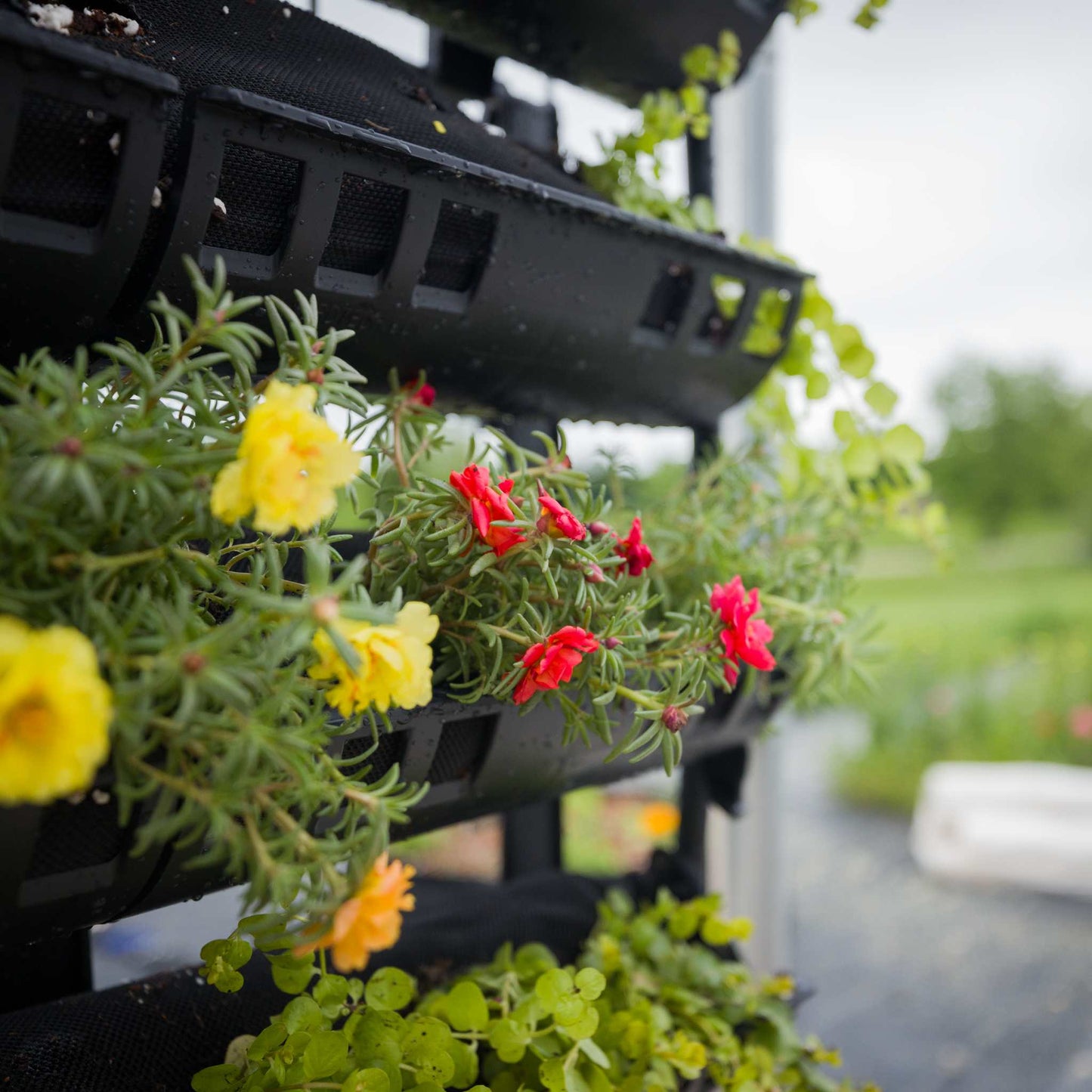 Varden™ Kitchen Garden