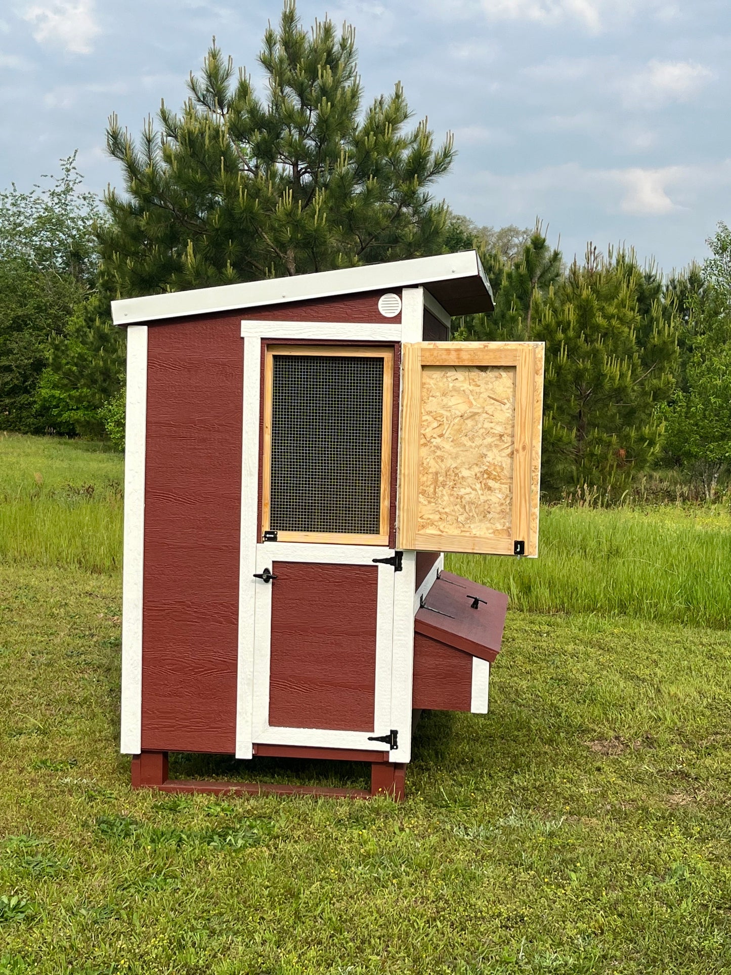 Walk-In Chicken Coop — Up to 18 Chickens