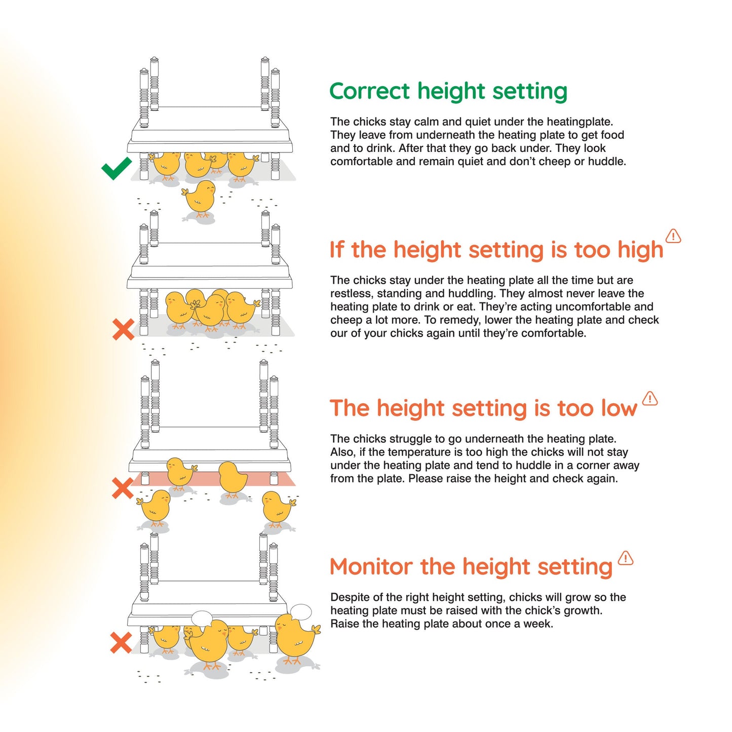 Warmzy Heating Plate (14" x 14") 25-30 chicks