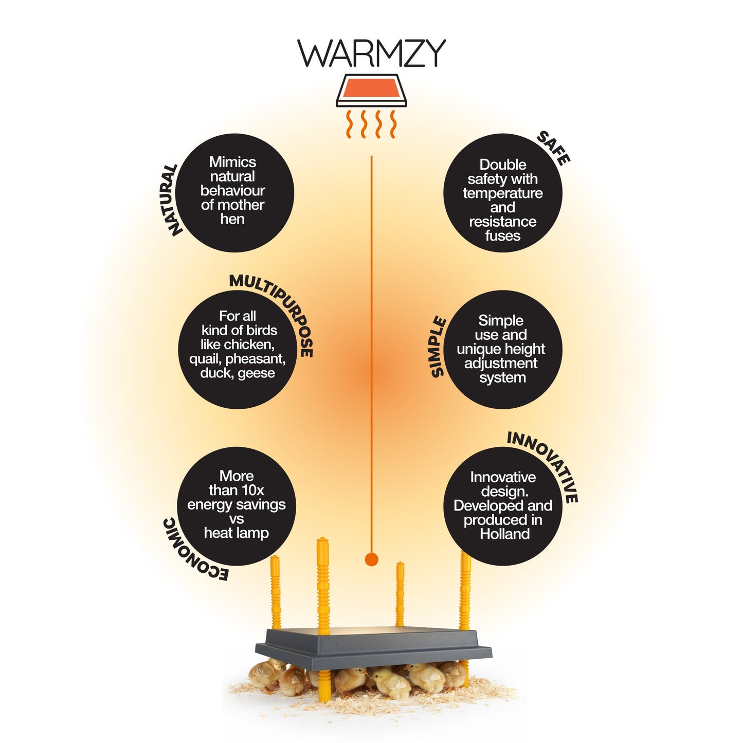 Warmzy Heating Plate (14" x 14") 25-30 chicks