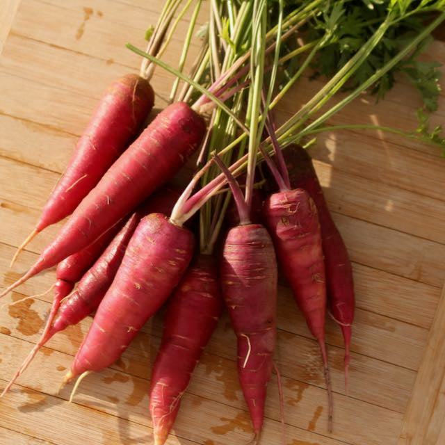 Dragon Carrot - Yellow Core Variation