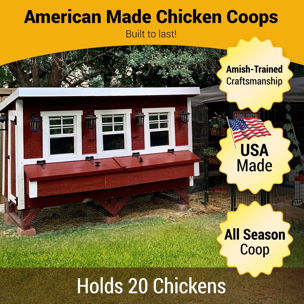 XL Chicken Coop — Up to 20 Chickens