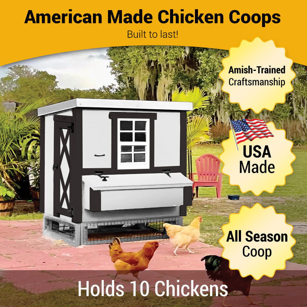 Medium Chicken Coop — Up to 10 Chickens