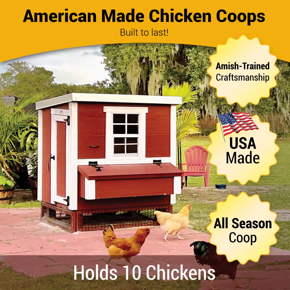 Medium Chicken Coop — Up to 10 Chickens