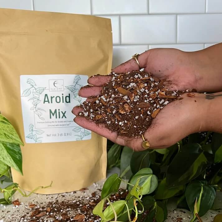 Aroid Mix Premium Aroid Mix For Tropical Plants – Mother Earth News