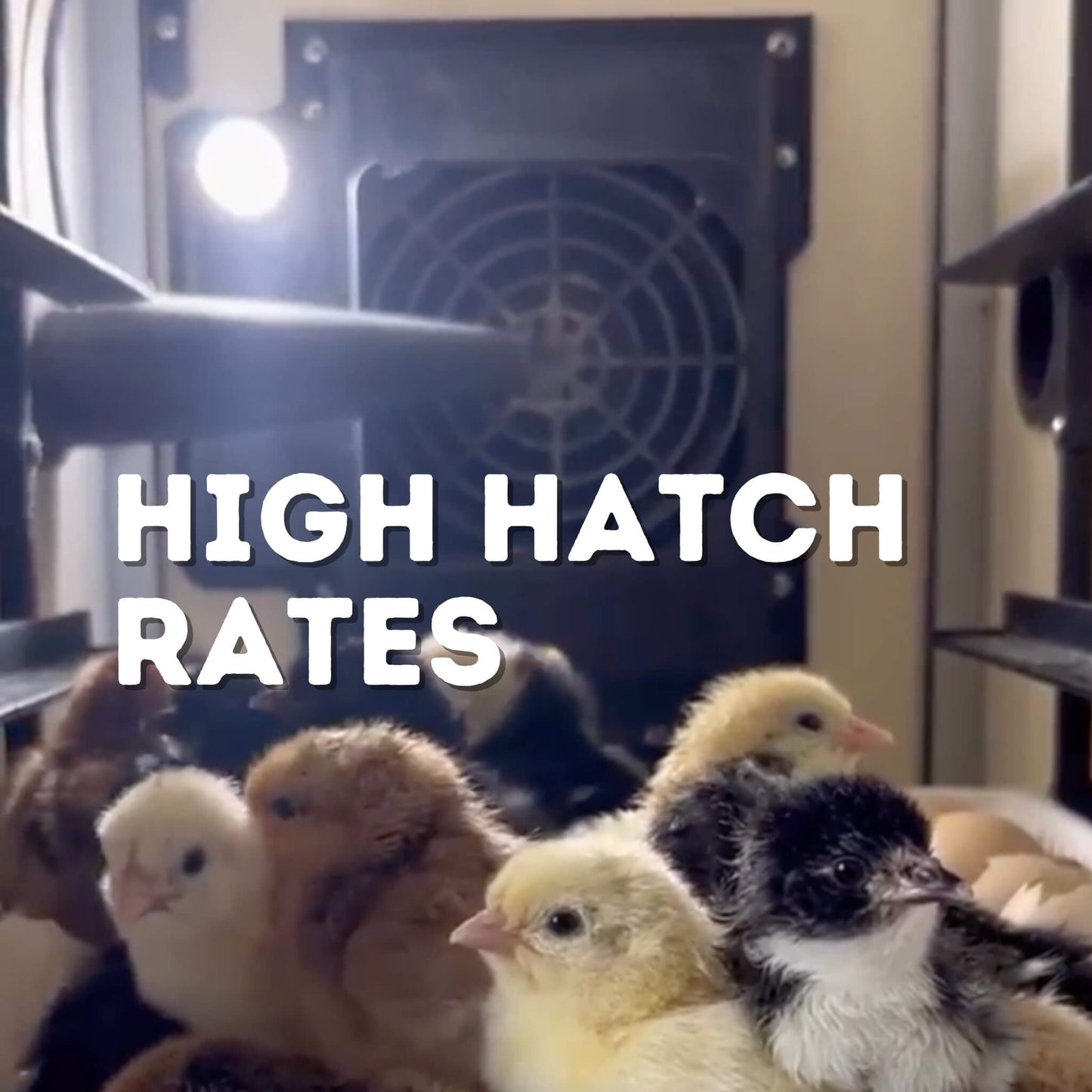 CT120 H - Egg Incubator - Hatcher Only