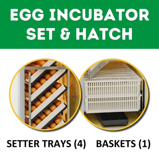 HB175 C - Egg Incubator - Setter & Hatcher