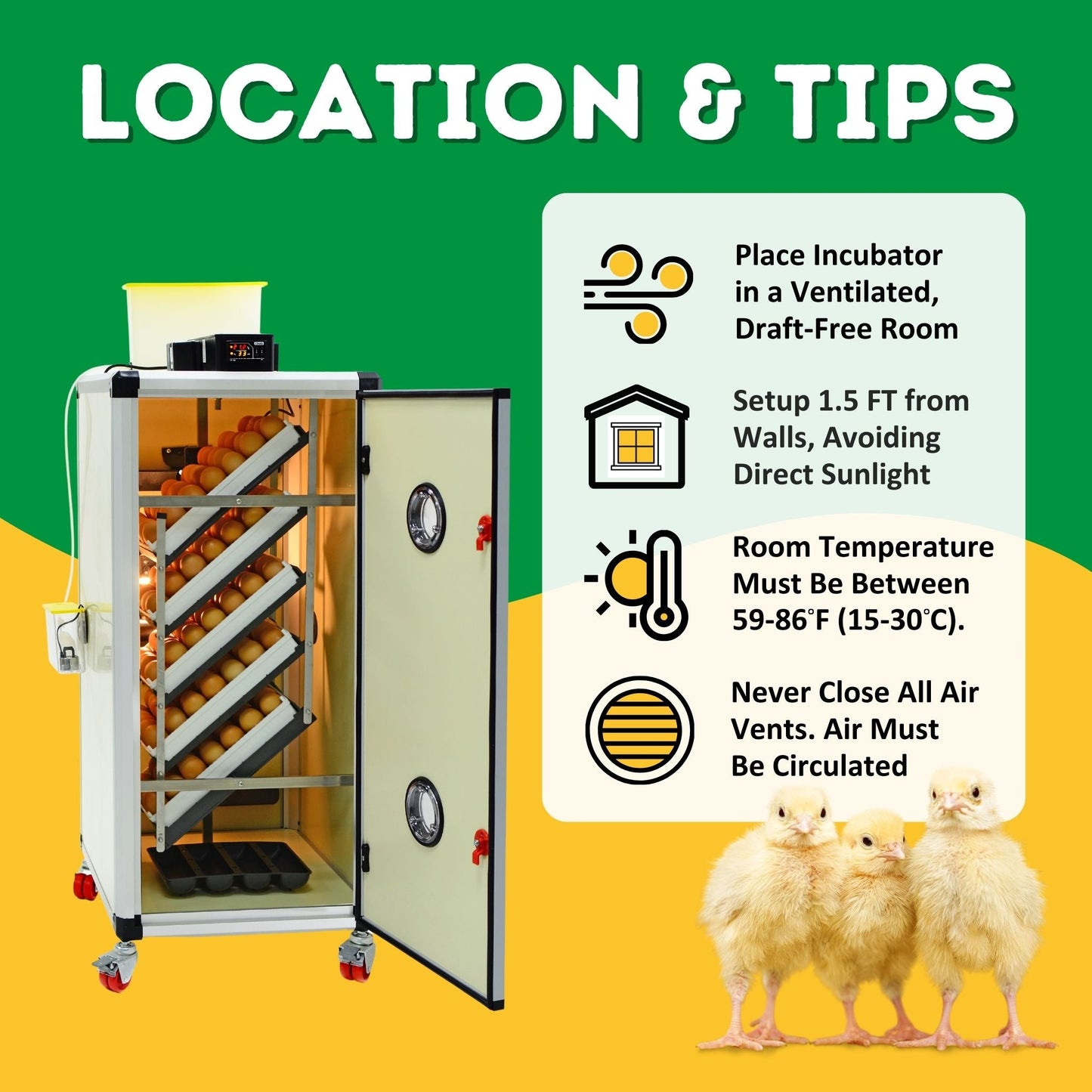 HB175 S - Egg Incubator - Setter