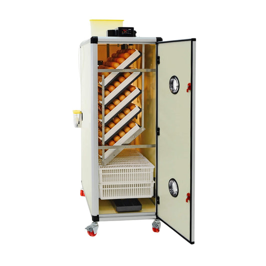 HB500 C - Egg Incubator - Setter & Hatcher