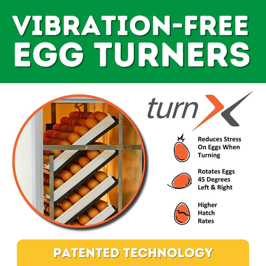 HB700 S - Egg Incubator - Setter