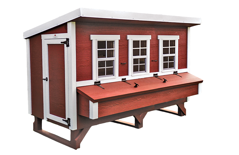 XL Chicken Coop — Up to 20 Chickens