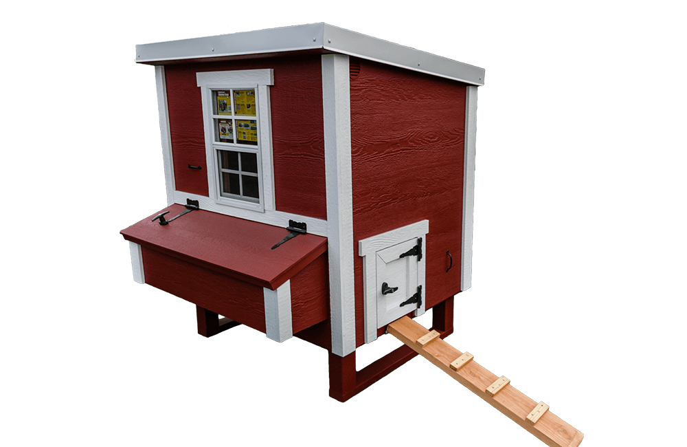 Medium Chicken Coop — Up to 10 Chickens