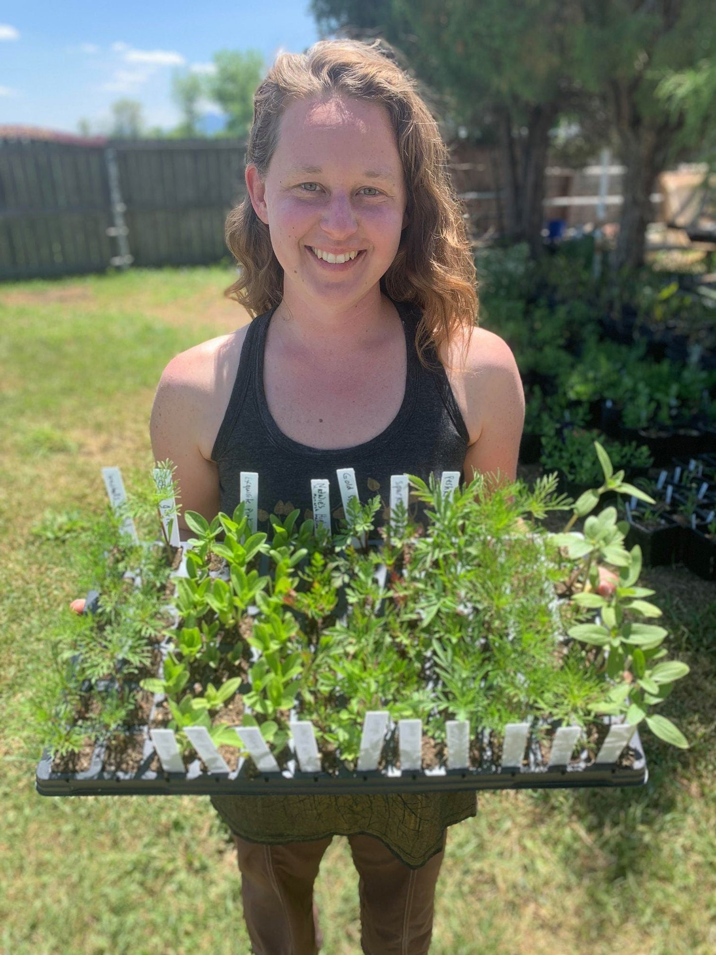 Homestead Seed CSA Share