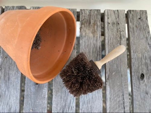 Flower Pot Brush — Made in Germany