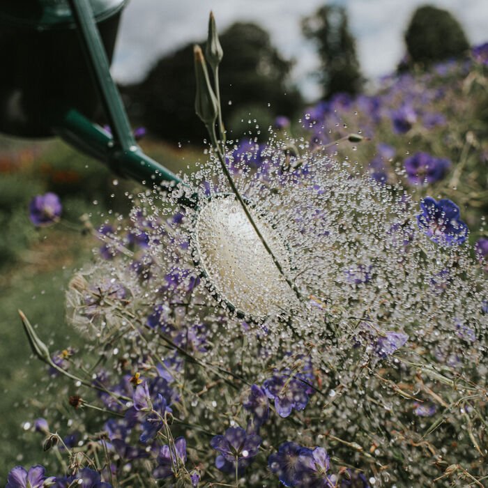 Haws Cradley Deluxe — Watering Can