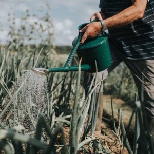 Haws Cradley Deluxe — Watering Can