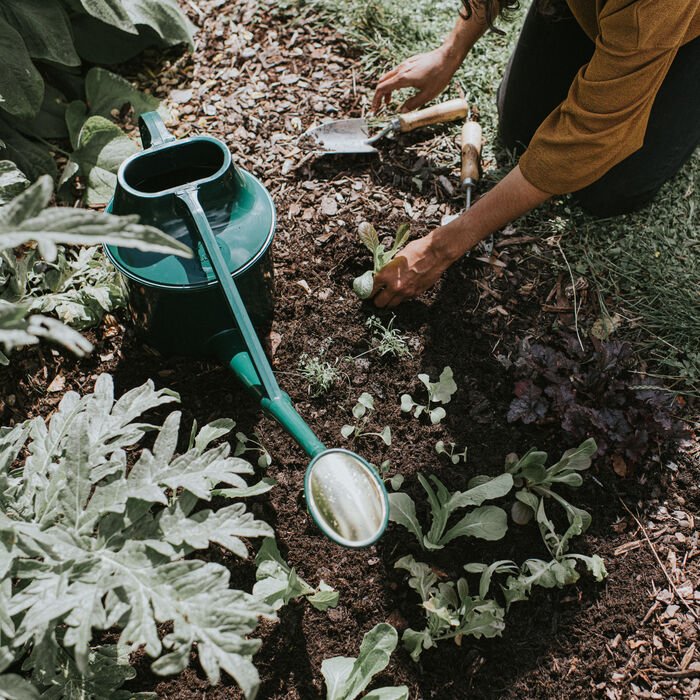 Haws Cradley Deluxe — Watering Can