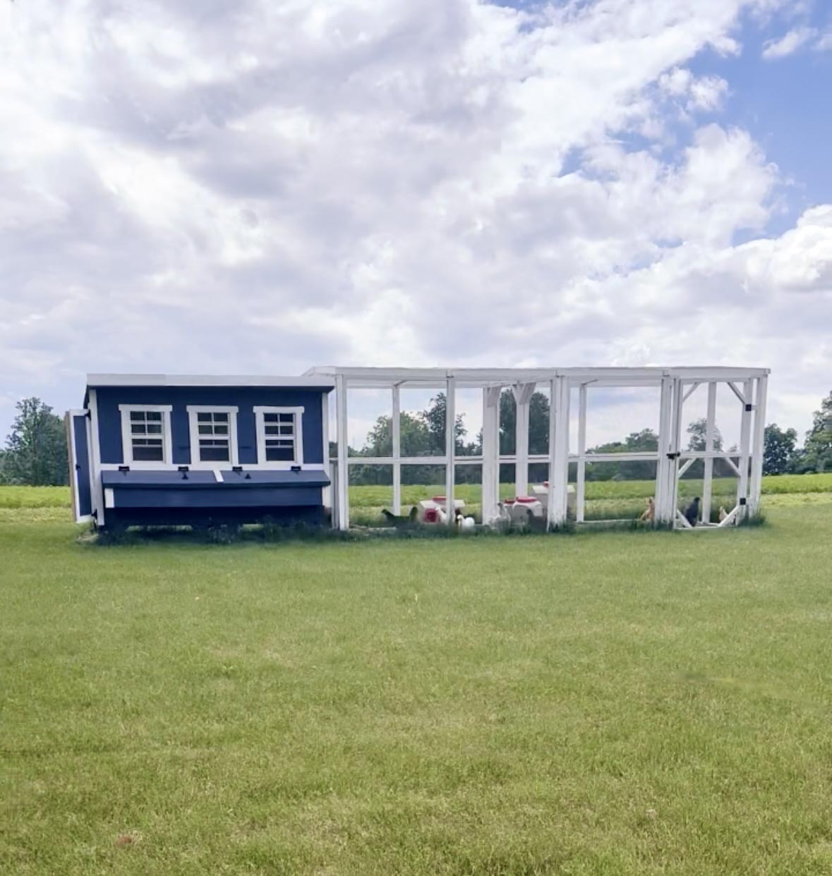 XL Chicken Coop — Up to 20 Chickens