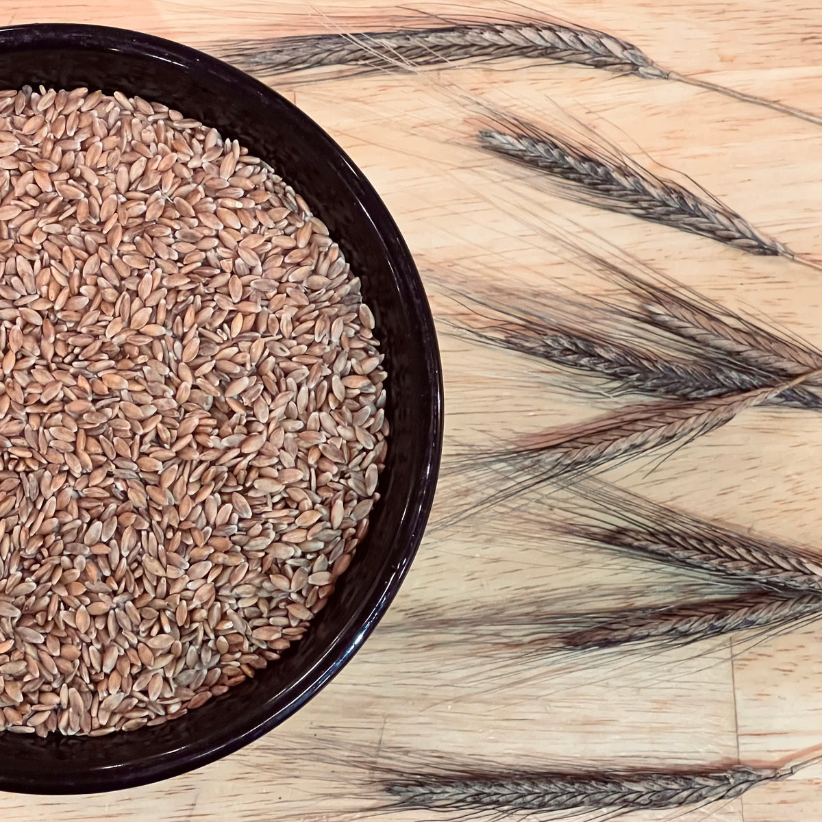 Bleinkorn Berries