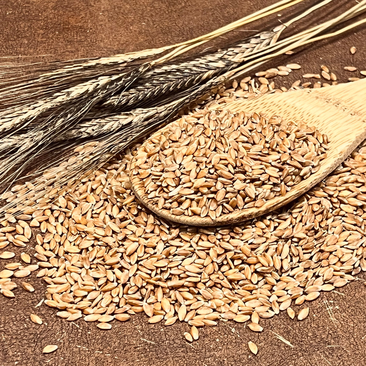Bleinkorn Berries