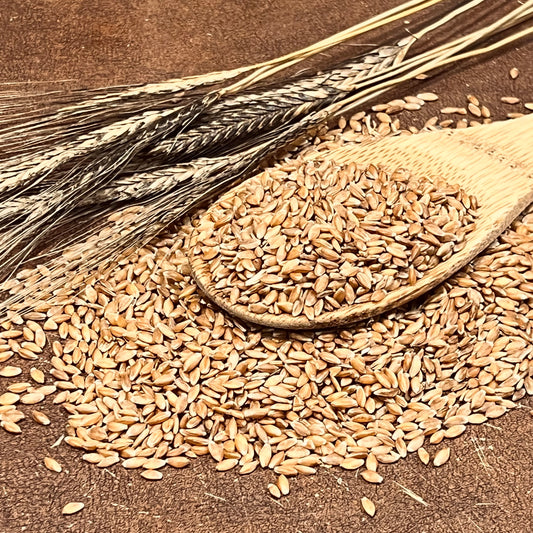 Bleinkorn Berries
