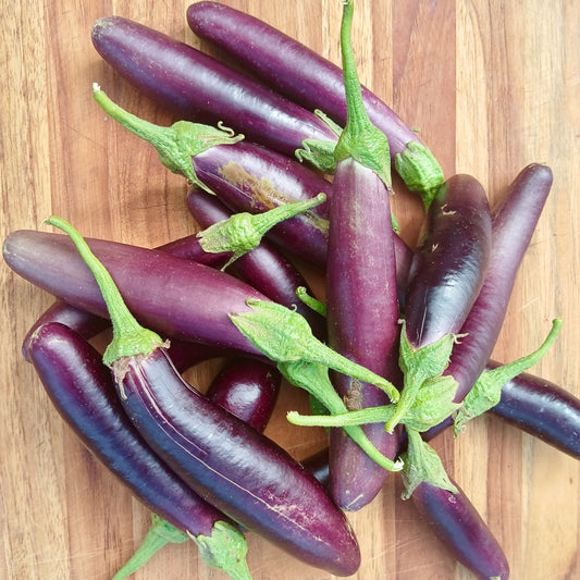 Long Asian Eggplant