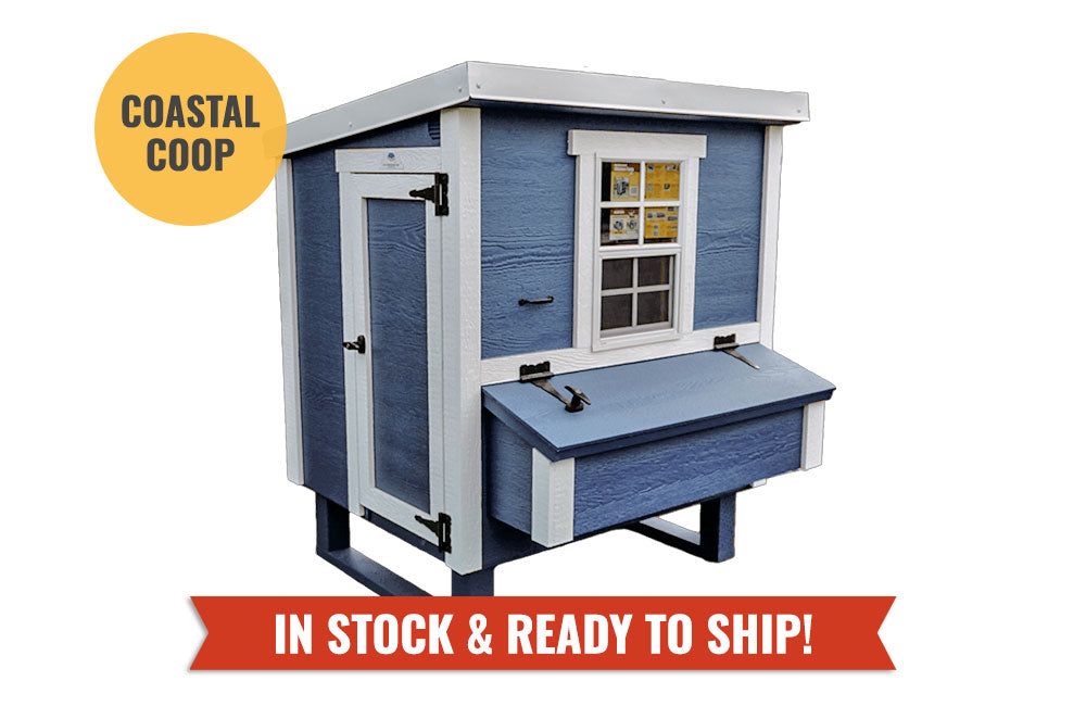 Medium Chicken Coop — Up to 10 Chickens