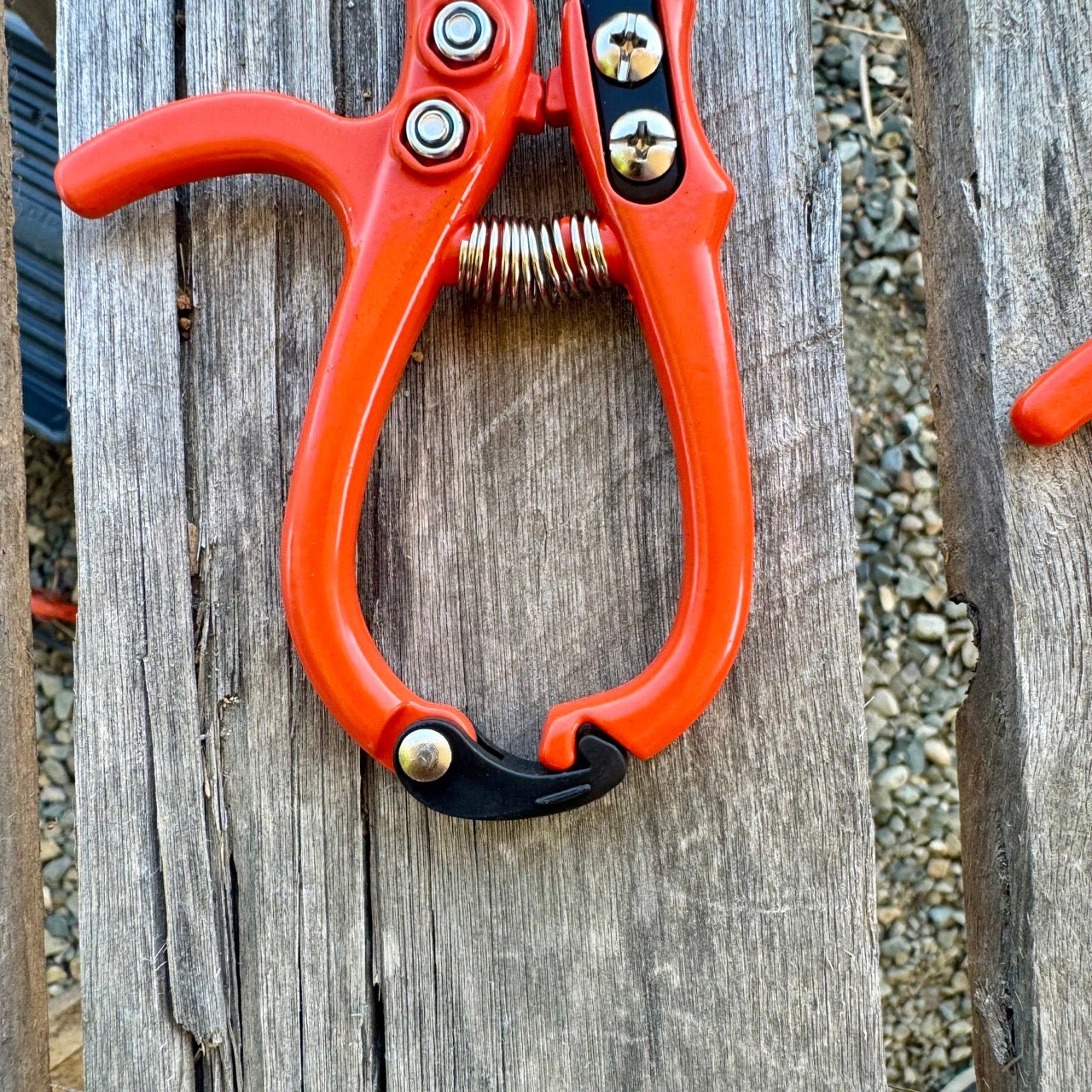 Mini Hand Pruner Gift Set - Ergonomic Pruners – Mother Earth News