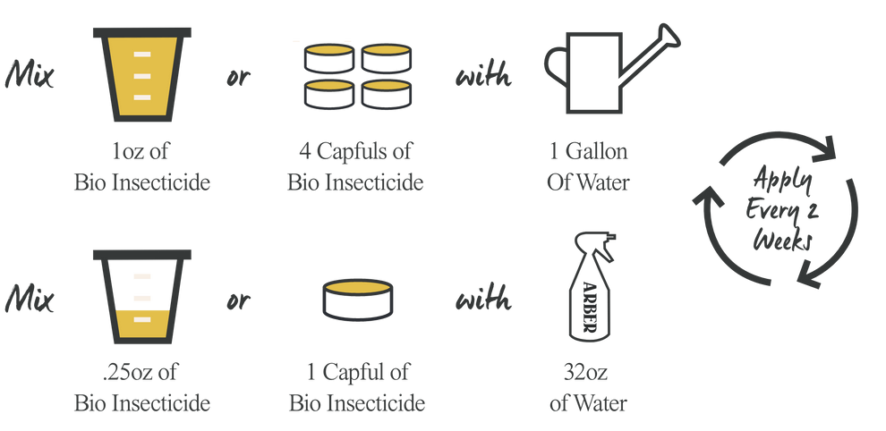 Organic Bio Insecticide – Mother Earth News