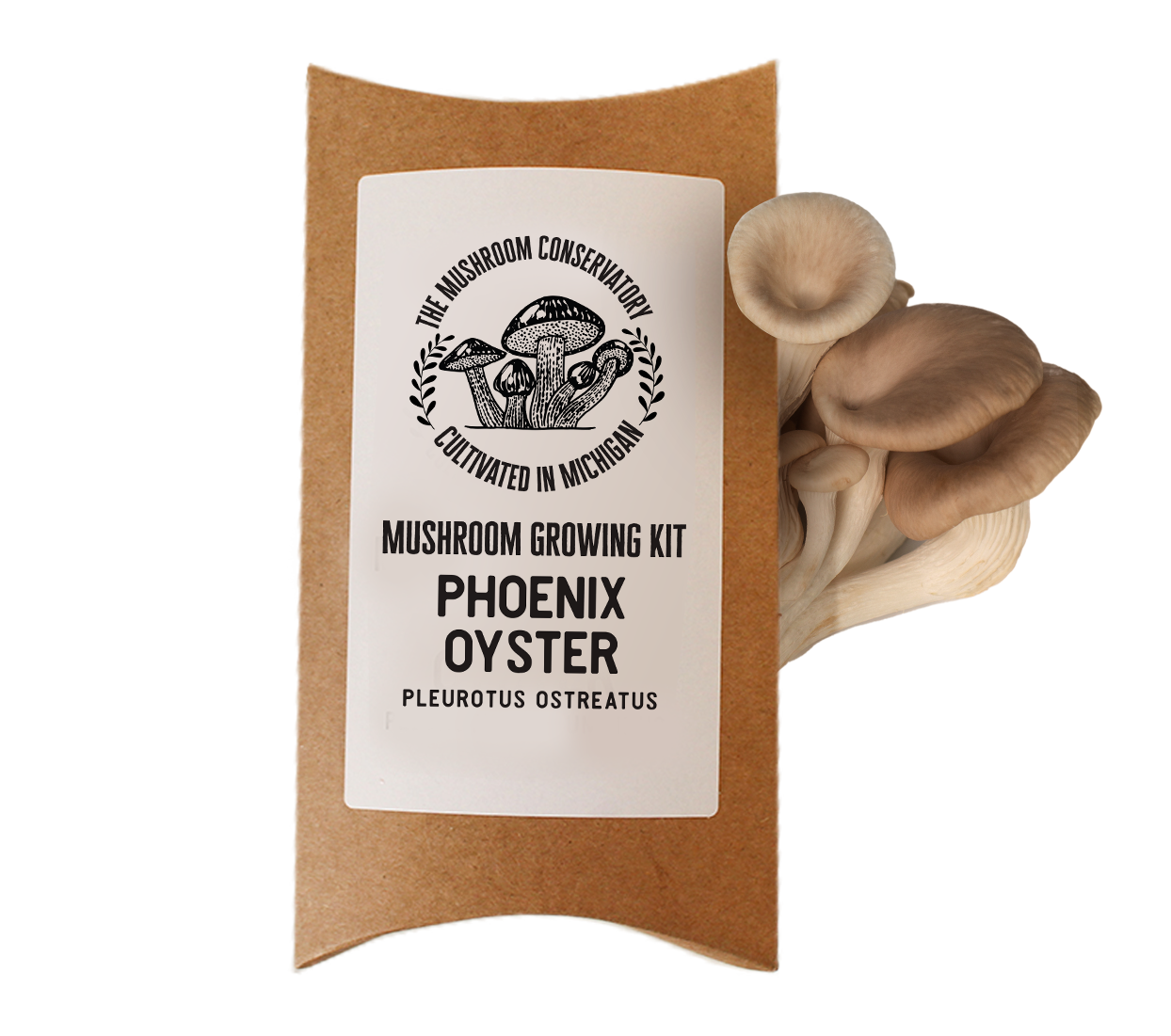 PHOENIX OYSTER MUSHROOM GROWING KIT