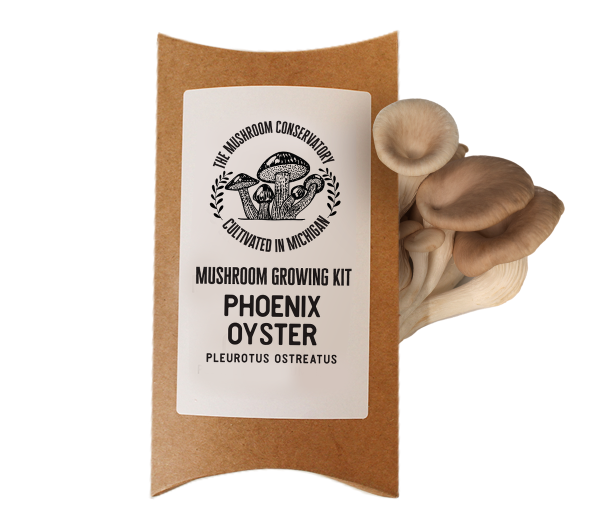 Phoenix Oyster Mushroom Growing Kit