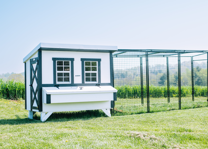 Large Chicken Coop — Up to 15 Chickens